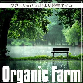 Download track Rain-Washed Moments Of Solitude Organic Farm