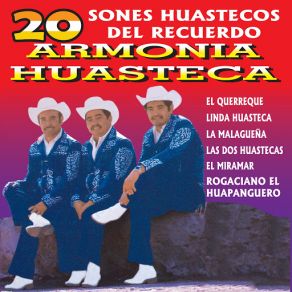 Download track Rogaciano El Huapanguero Trio Armonia Huasteca