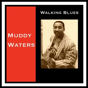 Download track Train Fare Home Blues Muddy Waters