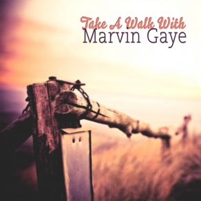 Download track HItch Hike Marvin Gaye