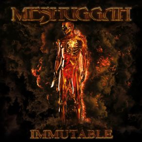 Download track The Abysmal Eye Meshuggah