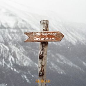 Download track Overnight Trip Little Diamond