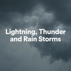 Download track Park Rain Sounds For Sleep Rain Storm