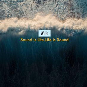 Download track Vvs Wille