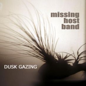 Download track Toufic Missing Host Band