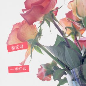 Download track 梨花泪 (伴奏) 一点红云