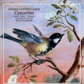 Download track Violin Concerto In D Major - I. Allegro Graun Johann Gottlieb