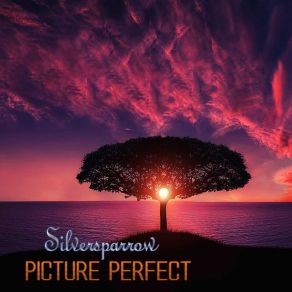 Download track Picture Perfect (Ibiza Sunrise Vocal Mix) Silversparrow