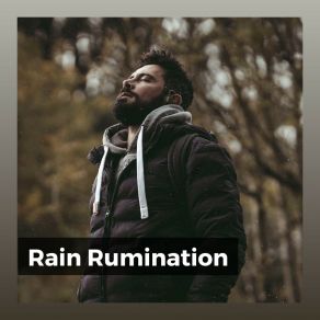 Download track Rain Harmony, Pt. 21 The Sound Of The Rain