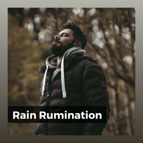 Download track Ultimate Rain, Pt. 18 The Sound Of The Rain