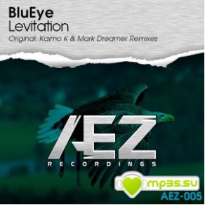 Download track Levitation (Kaimo K Remix) BluEye