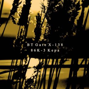 Download track R21 BT Gate X-138