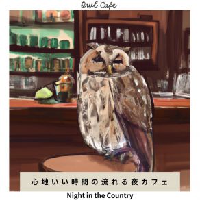 Download track Intimate Chatter Echoes Owl Cafe