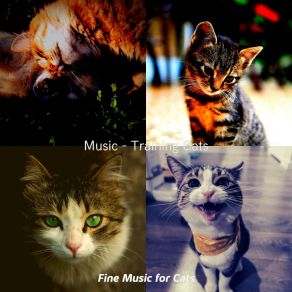 Download track Excellent (Music) Fine Music For CatsThe Music