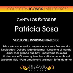 Download track Luz De Mi Vida (Instrumental Version) [Originally Performed By Patricia Sosa] Brava HitMakers