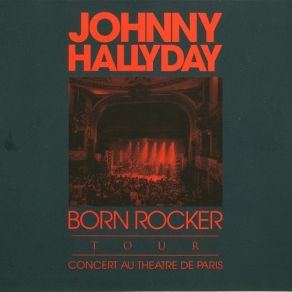 Download track Blue Suede Shoes En Duo Avec Brian Setzer Johnny Hallyday