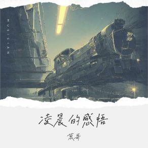 Download track 凌晨的感悟 (伴奏版) 葱哥