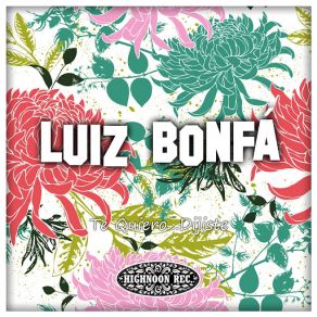 Download track Meu Nome E Ninguém Luiz Bonfá