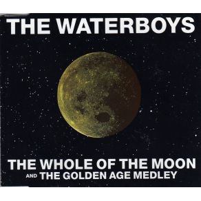 Download track The Whole Of The Moon The Waterboys