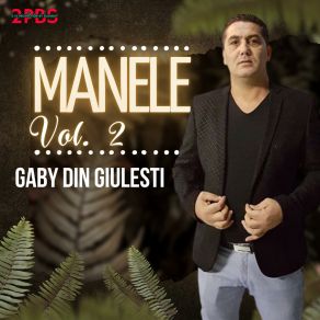 Download track Mandru De Copiii Mei Gaby Din Giulești