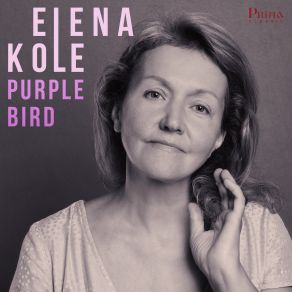 Download track Summer Afternoon In Boston Elena Kole