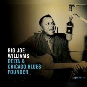 Download track Don't You Leave Me Here Big Joe Williams