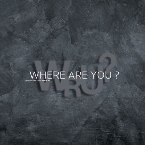 Download track Where Are You? (Simon LeSaint Dub Remix) Charles Schillings