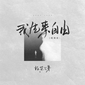 Download track 我生来自由 (烟嗓版伴奏) 拾柒兄弟