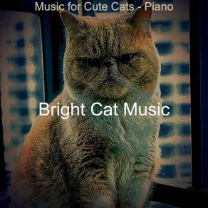 Download track Vintage Ambience For Cats Bright Cat Music