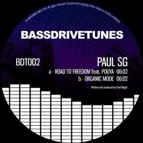 Download track Organic Mode (Original Mix) Paul SG