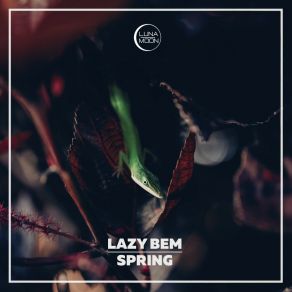 Download track Spring Lazy Bem