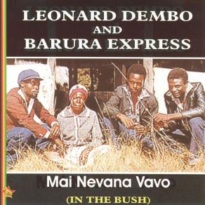 Download track Shamwari The Barura Express