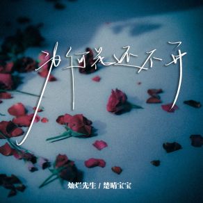 Download track 为何花还不开 楚晴宝宝