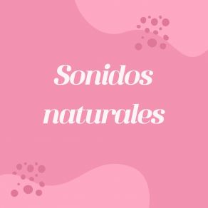 Download track Vibraciones Naturales Ritmos Relajantes