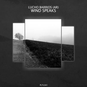 Download track Wind Lucho Barrios (AR)