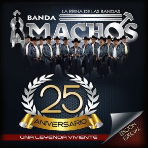 Download track Traficantes Michoacanos Banda Machos