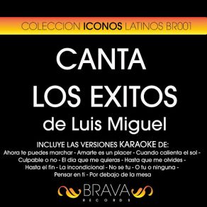 Download track La Incondicional (Karaoke Version) [Originally Performed By Luis Miguel] Brava HitMakers