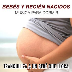 Download track La Contemplación De La Mañana Canciones Infantiles De NiñosMind Entrainment Doctor