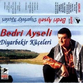 Download track Yeşil Yaprak Arasına Bedri Ayseli