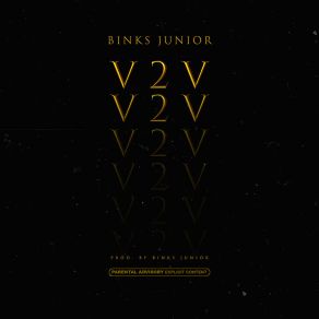 Download track Outro (Vériter V2V) Binks Junior