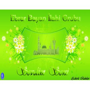 Download track Sevdim Seni Ebrar Bayan, Ilahi Grubu