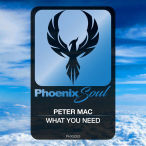 Download track What You Need (Extended Mix) Peter Mac