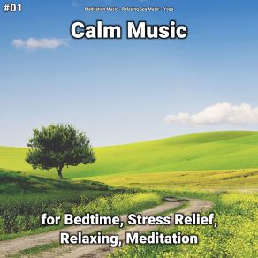 Download track Calm Music, Pt. 56 Yoga