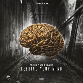 Download track Feeding Your Mind (Original Mix) Necrosis, Sins Of Insanity