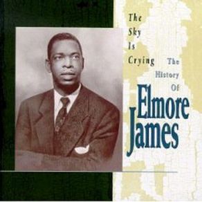 Download track The 12 Year Old Boy Elmore James