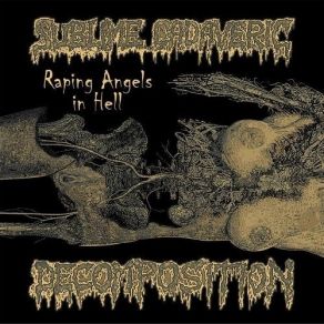 Download track Raping Angels In Hell Sublime Cadaveric Decomposition