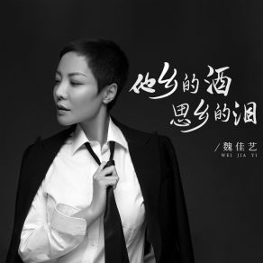 Download track 他乡的酒思乡的泪 魏佳艺