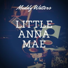 Download track Where's My Woman Been Muddy Waters13