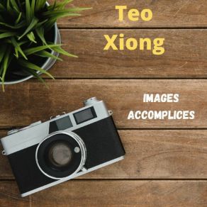 Download track Brindle Whereas Teo Xiong