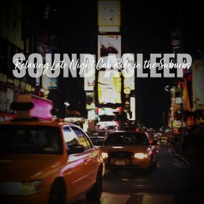 Download track Relaxing Late Night Cab Ride In The Suburbs, Pt. 13 Elijah Wagner